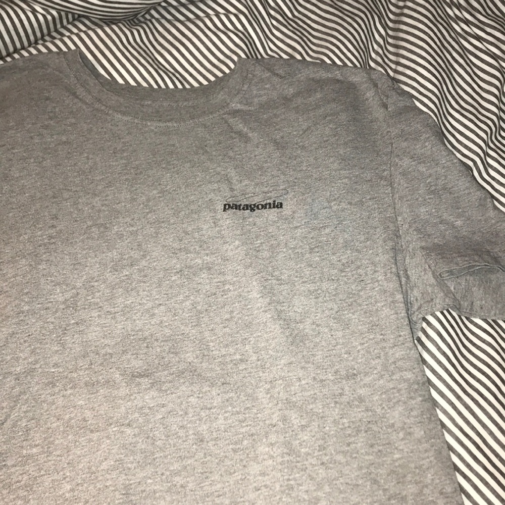 patagonia t shirt